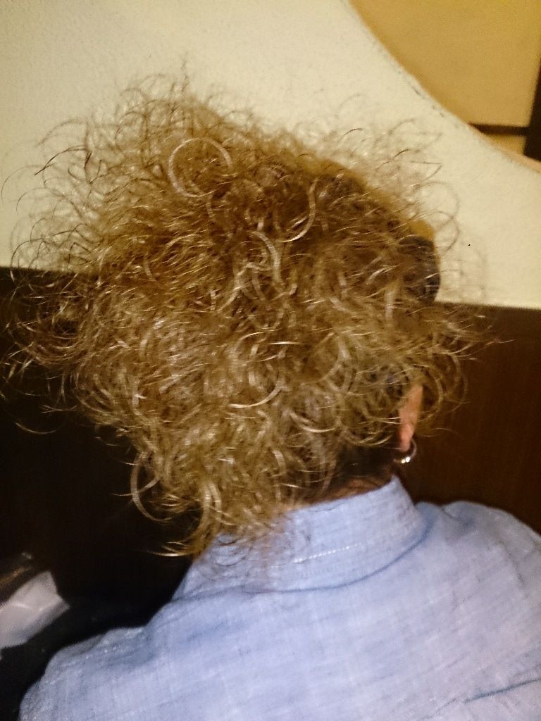 イメージ 8