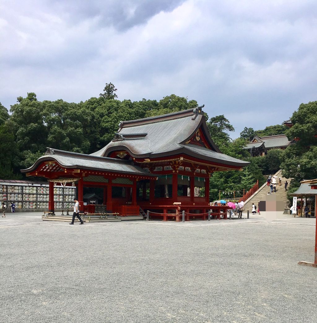 イメージ 12