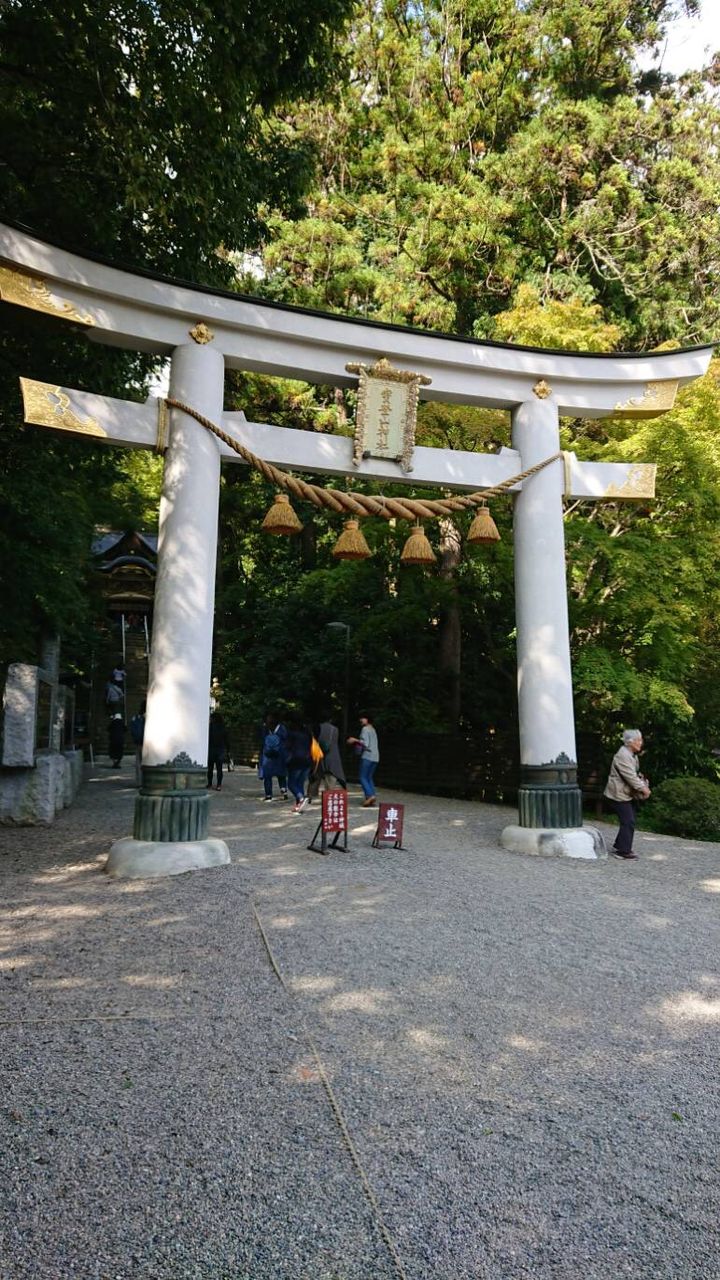 イメージ 4