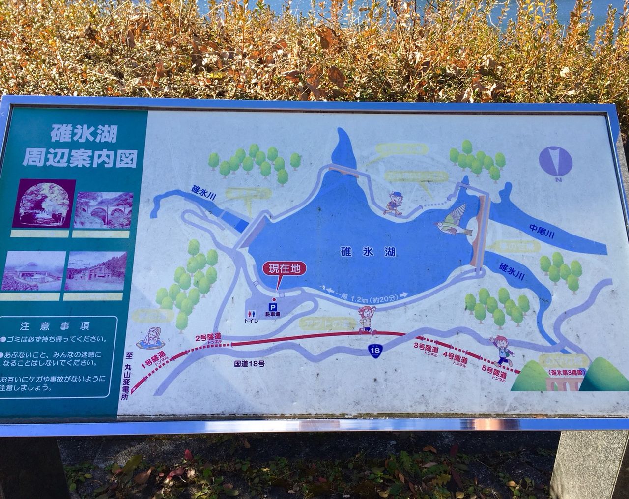 イメージ 7