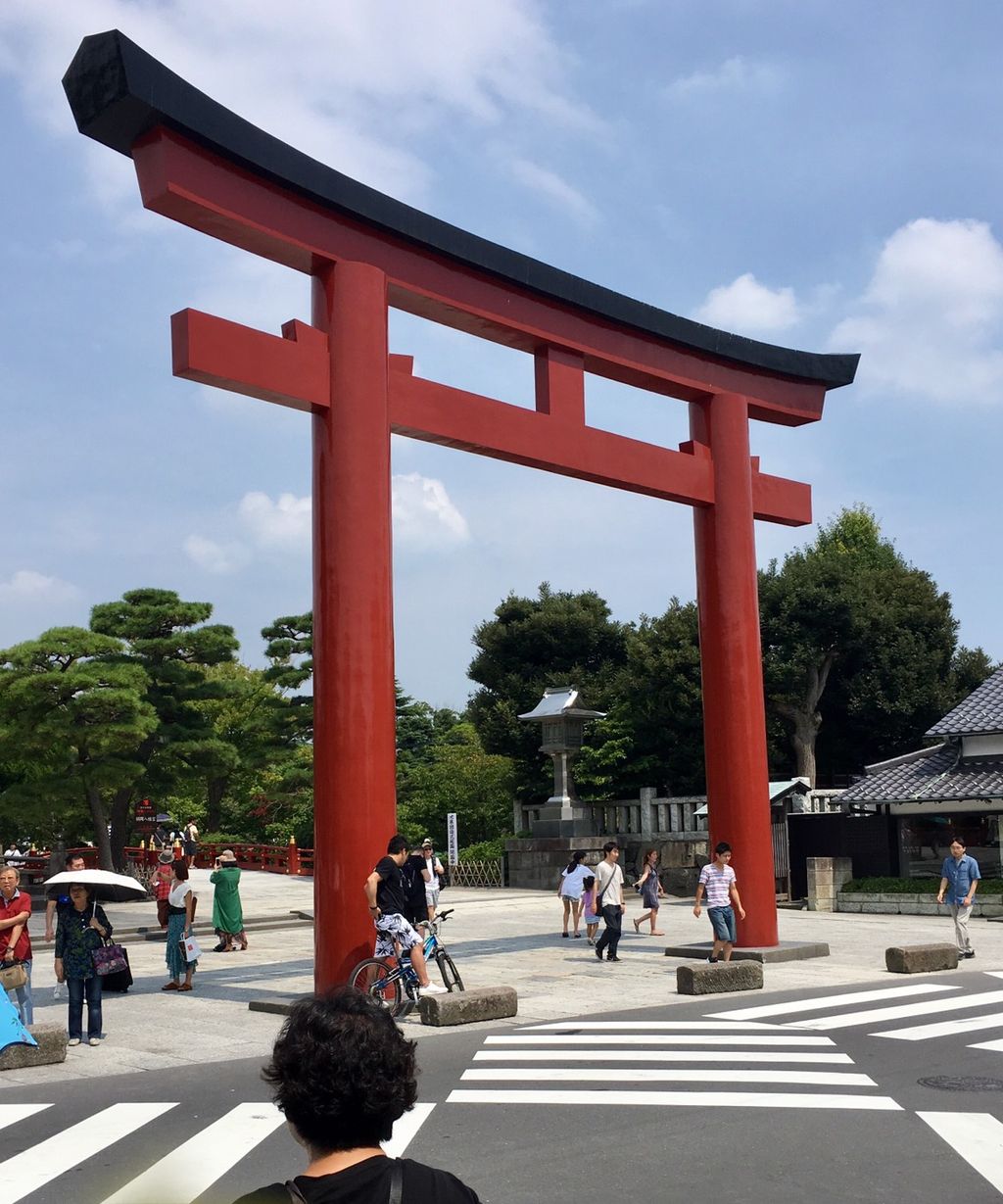 イメージ 6