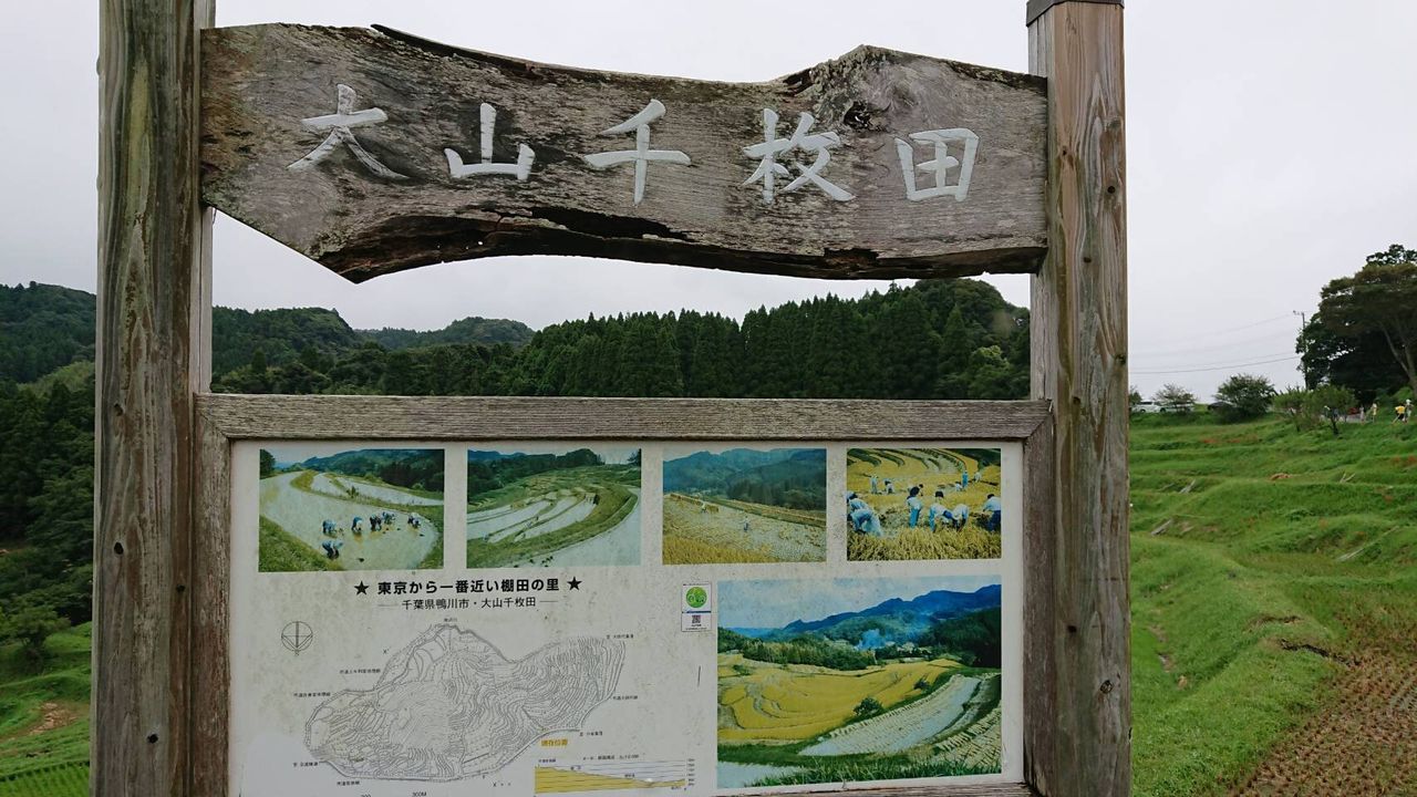 イメージ 29