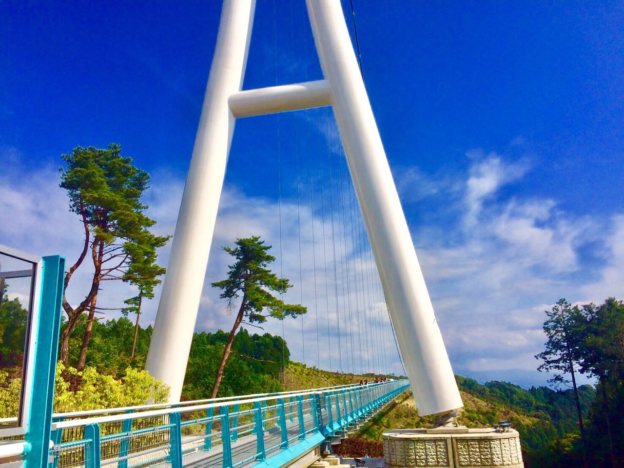 イメージ 12
