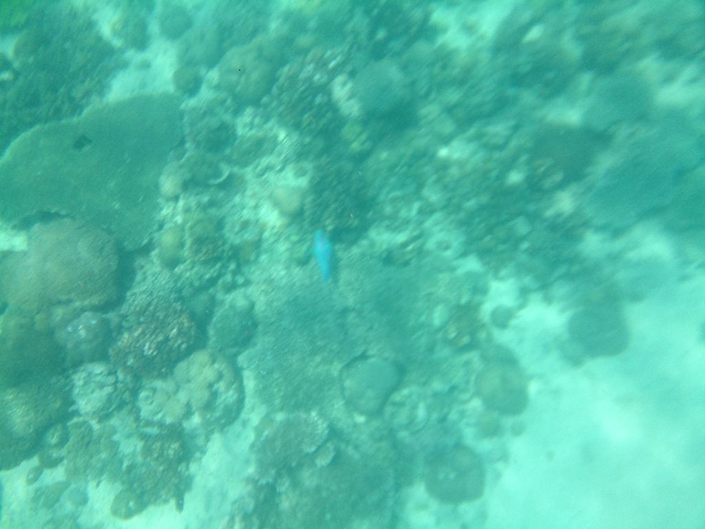 イメージ 88