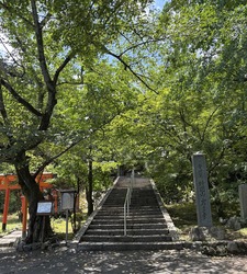 �䲰��