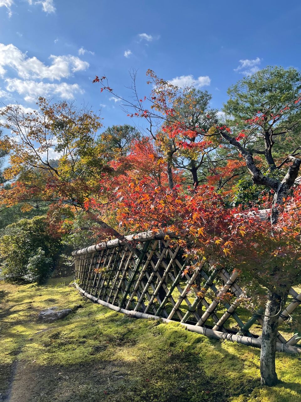 いつか・住もう・京都・2 ： 光悦会2024