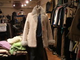 08396481.jpg