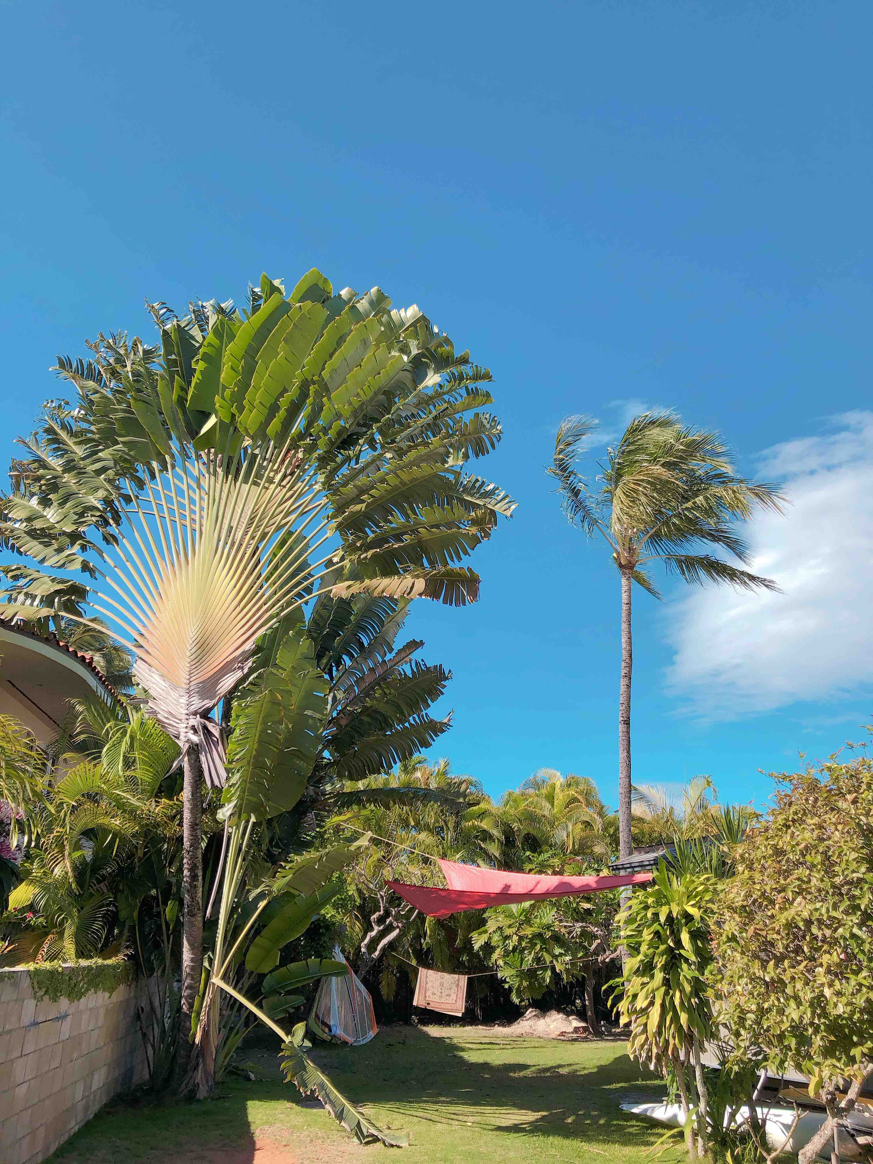 青い空と海 カイルア おしゃれコーディネートなら福岡市中央区のhanohanomarket ハノハノマーケット
