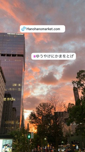 DB9CD56B-5C43-4FFA-BD64-F9ABAE19D55C