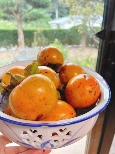 IMG_4379