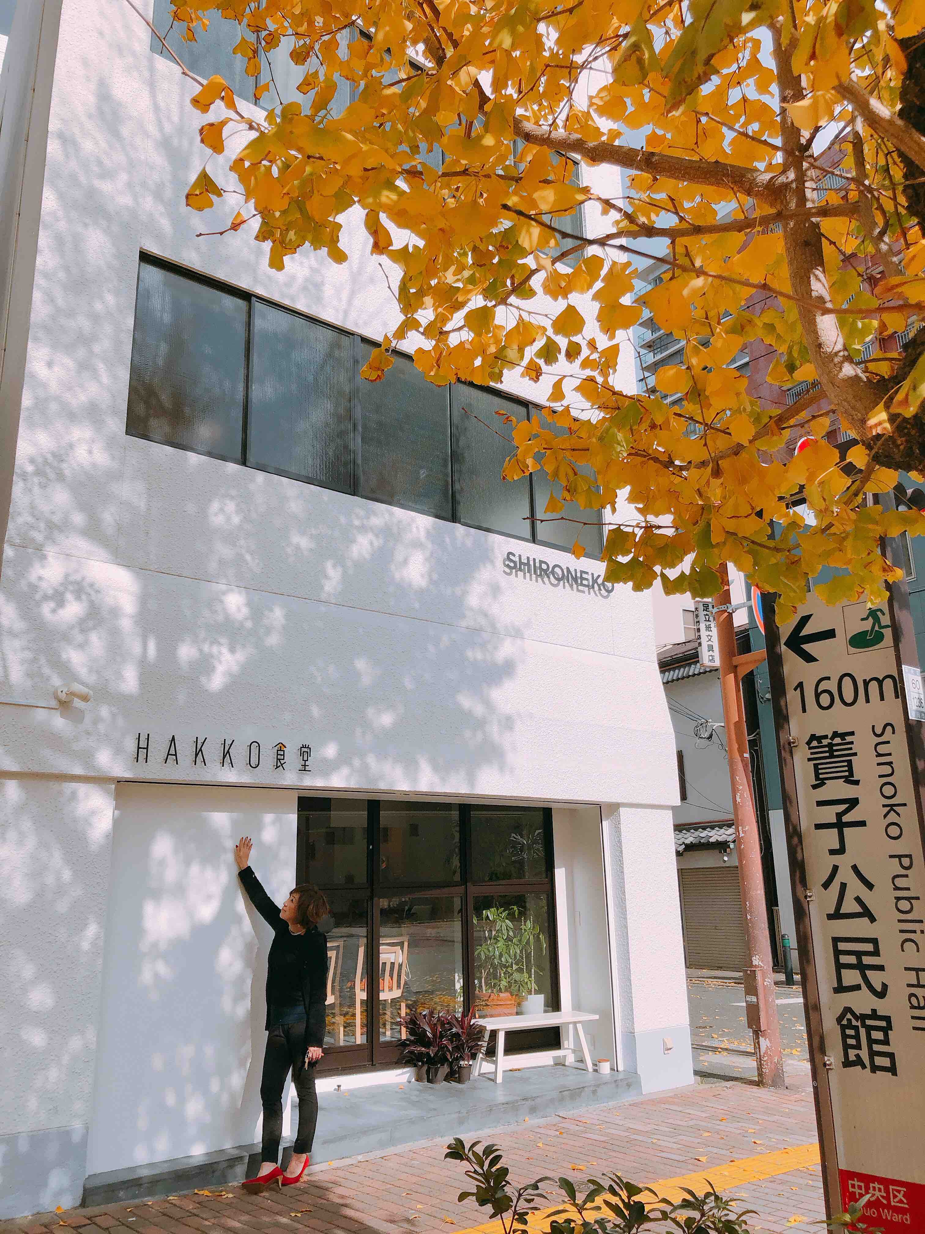 福岡 文房具 おしゃれ イメージポケモンコレクション