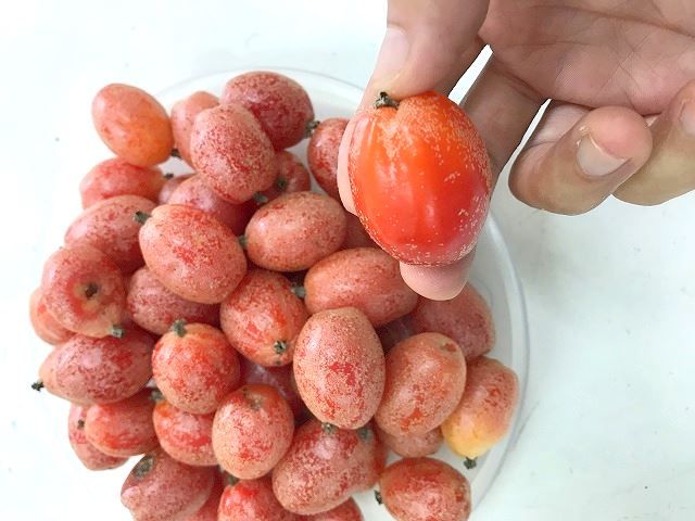 ベトナムの果物 ニョット Quả Nhot は 服でゴシゴシこすれ ハノイでまったり生きてます Fwf ベトナムの果物 ニョット Quả Nhot は 服でゴシゴシこすれ ハノイでまったり生きてます Fwf