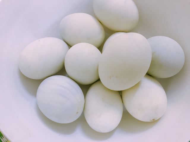 ちょびっと閲覧注意 これがハノイのチュンビロンです 意外と大丈夫でしょ ハノイでまったり生きてます Fwf ちょびっと閲覧注意 これがハノイのチュンビロンです 意外と大丈夫でしょ ハノイでまったり生きてます Fwf