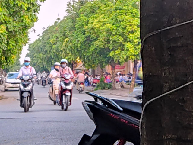 今年初めての 夜来香 トンキンカズラ 人懐っこい店主の店でビアホイを楽しむ ハノイでまったり生きてます Fwf