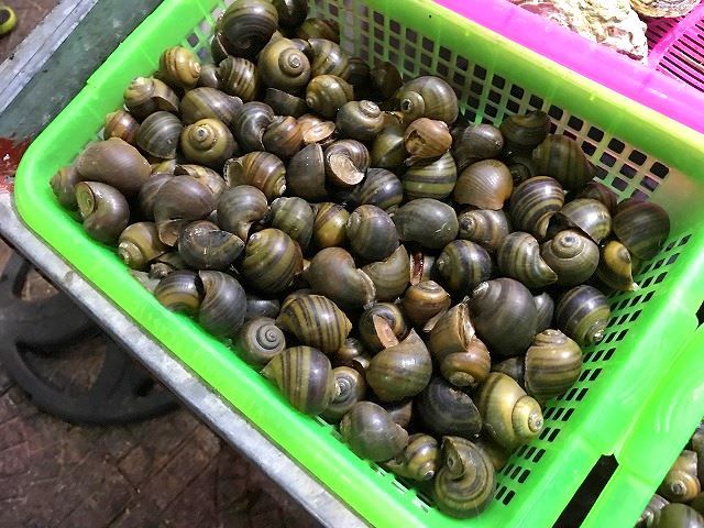 ハノイの人は本当に貝好きの証明 第2弾 ですよ ハノイでまったり生きてます Fwf