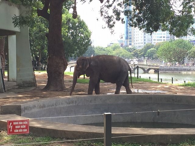 ハノイ動物園に行ってきました 15 6 13 ハノイでまったり生きてます Fwf ハノイ動物園に行ってきました 15 6 13 ハノイでまったり生きてます Fwf