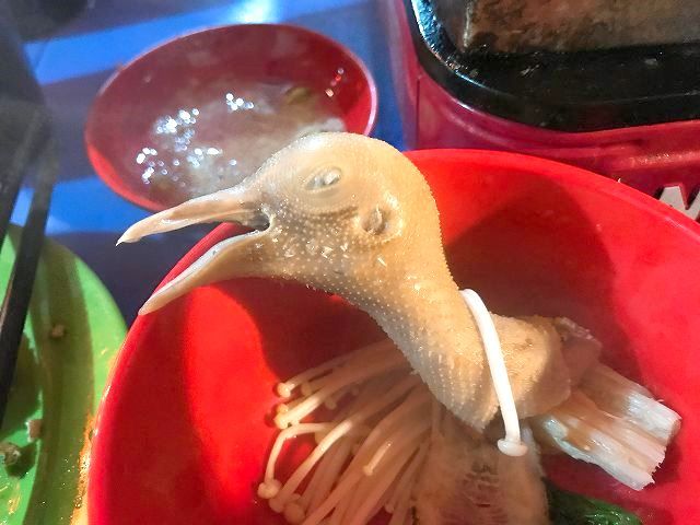 寒くなっていくハノイ旧市街で小鳥鍋をつつく ハノイ街めぐり73 ハノイでまったり生きてます Fwf