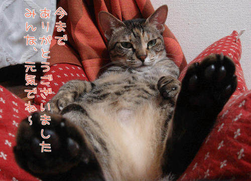 ���褦�ʤ�