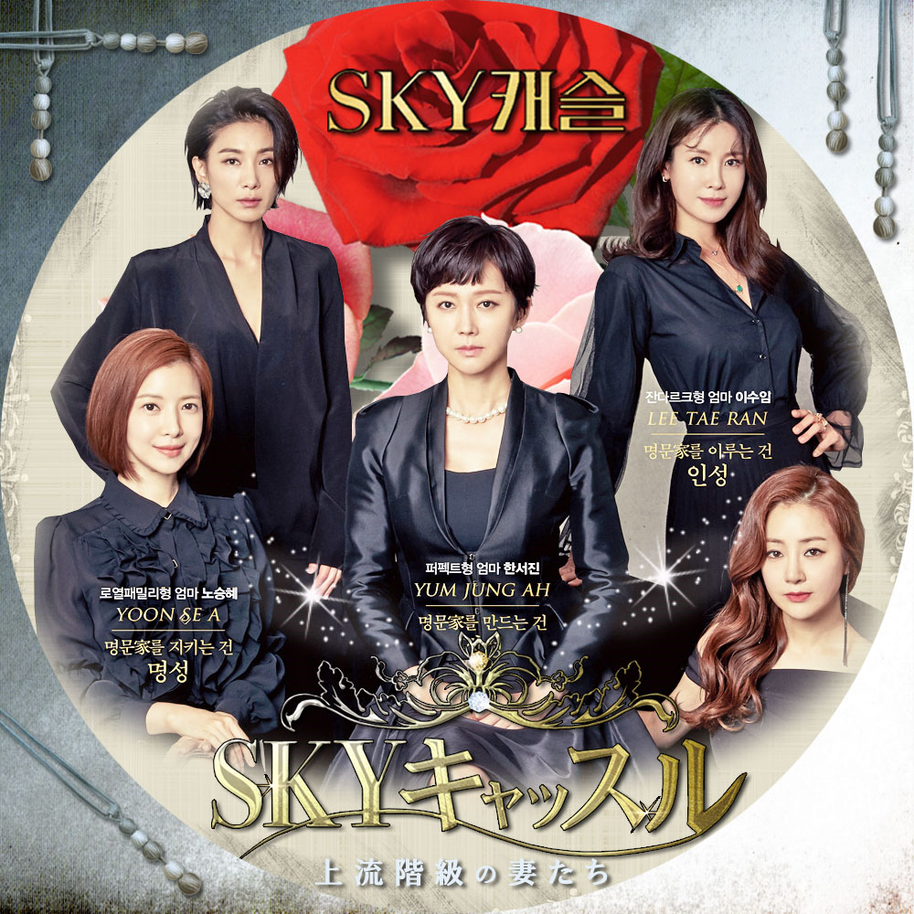 レンタルDVD全18巻 SKYキャッスル～上流階級の妻たち～ スカイ