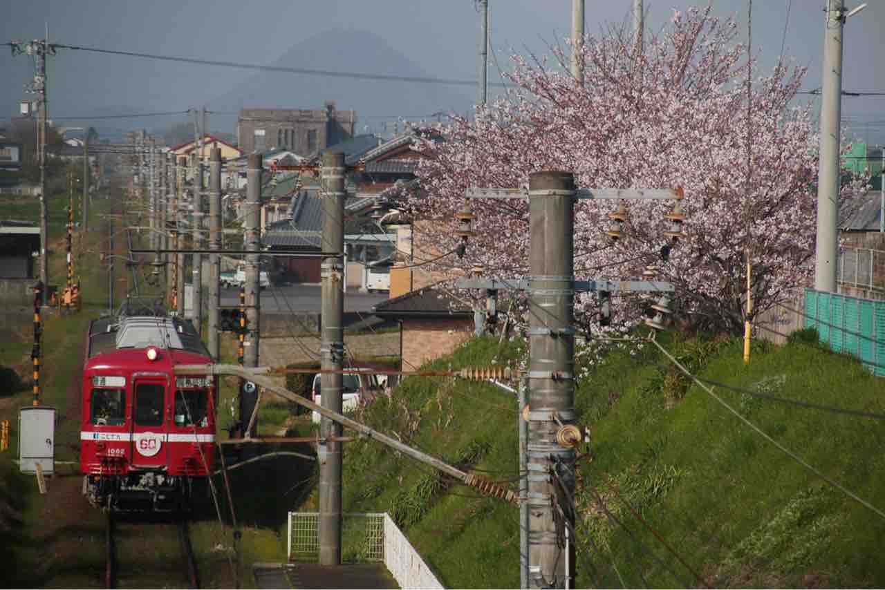 Gwイベントについて追記 まだまだ続くよ還暦の赤い電車 四国でお花見 バリ晴れフェス１ 1080形と令和の意外な関係 ことでん 山陽 京急大好きな人の鉄道サスペンス