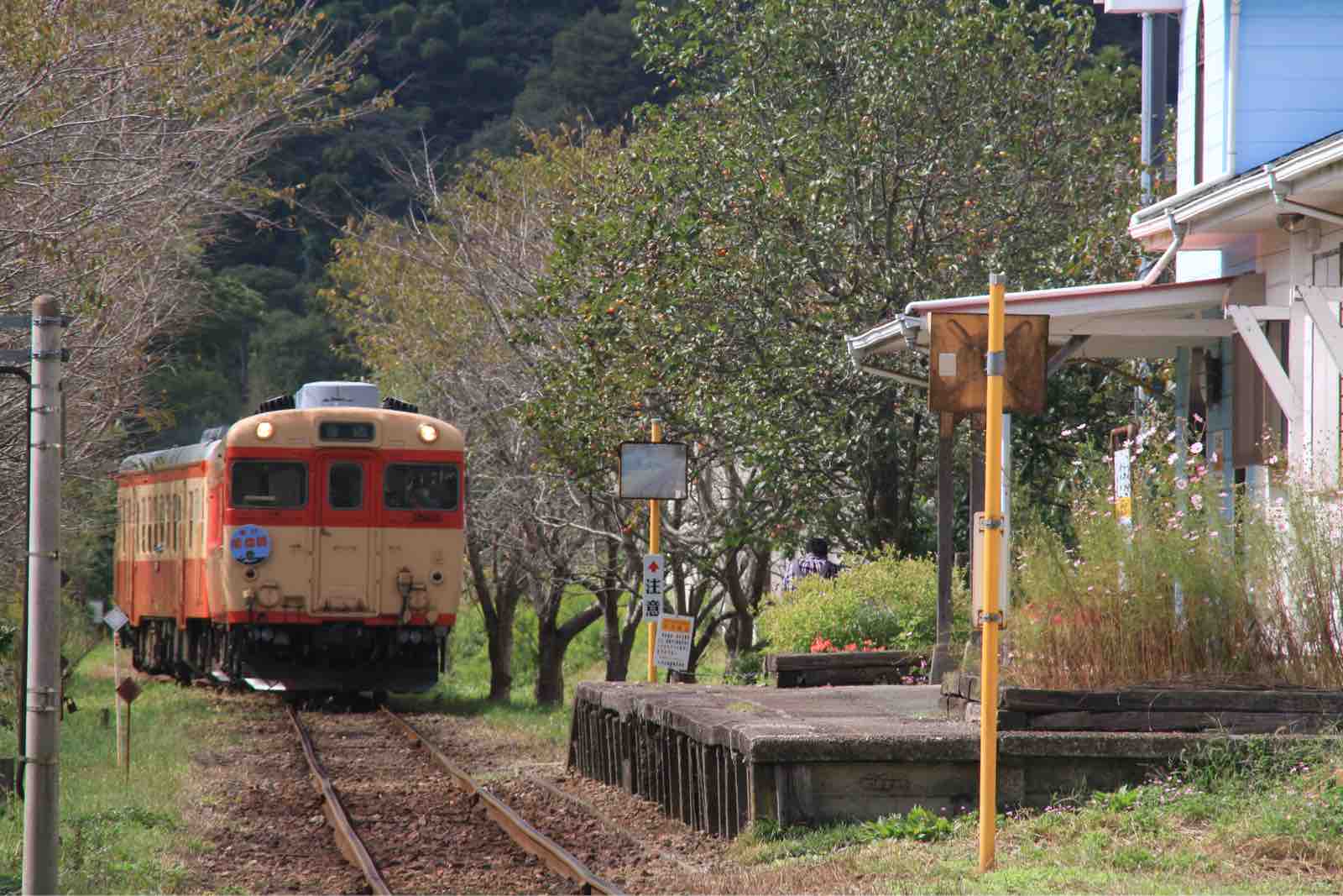 印刷用】急行能登路が復活運転／のと鉄道一部廃止の前に | 全国