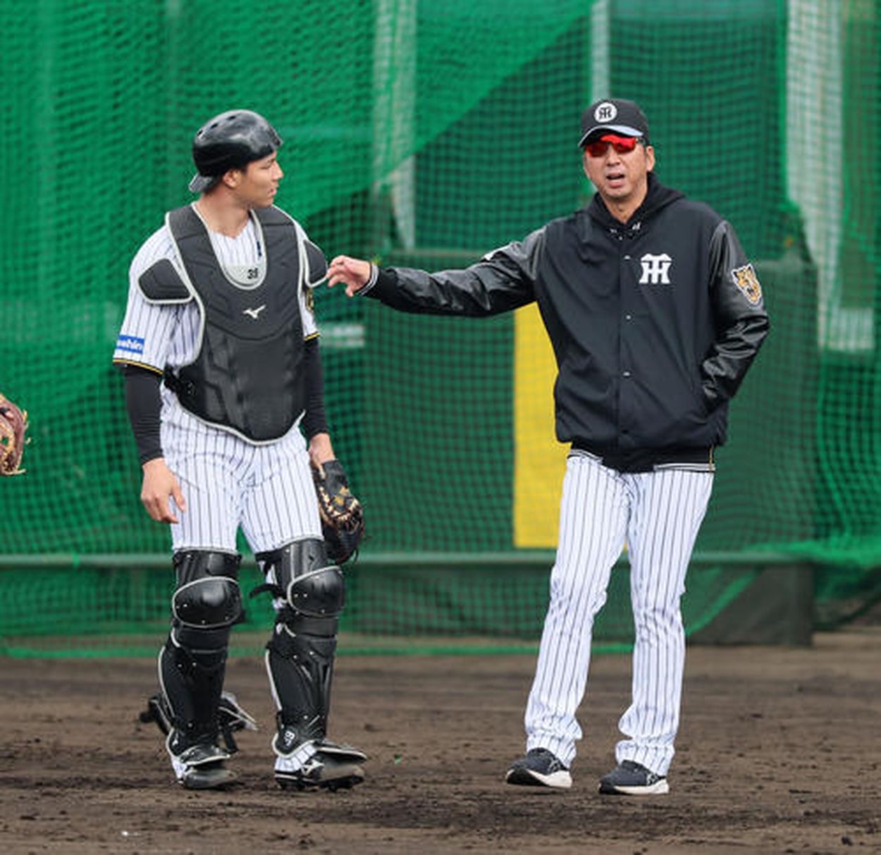 【阪神】藤川監督　若手控え捕手栄枝選手をバッサリ「初心者マークがついた選手がいる」