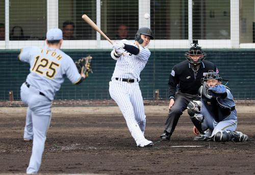 【阪神】育成４年目伊藤稜に虎党「他球団に広まってしまう」