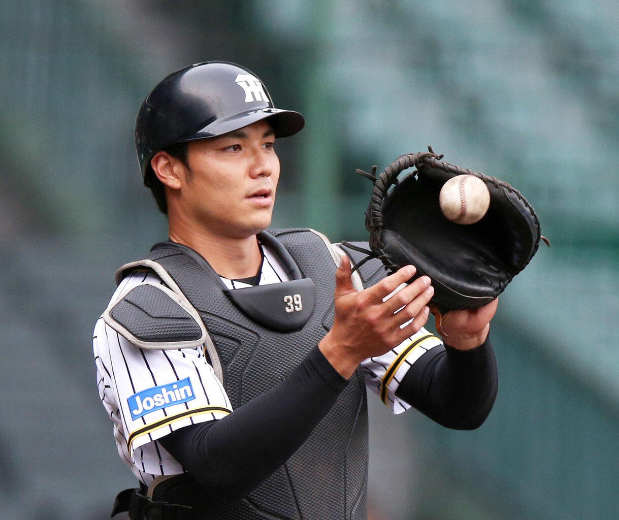 【阪神】藤川監督が期待する栄枝裕貴捕手の現在地