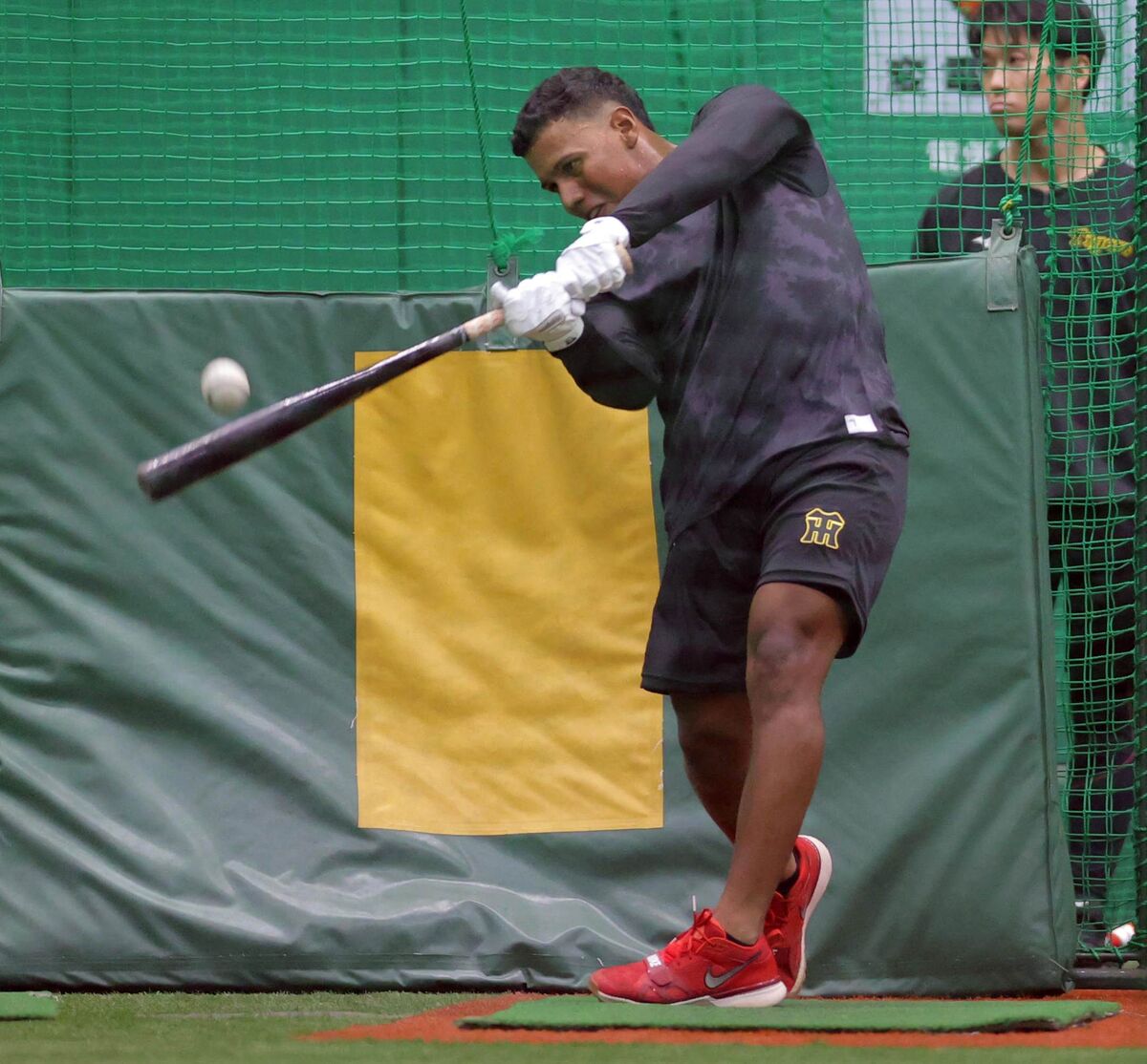 【阪神】育成助っ人・アルナエス、どこでも守る！打撃はミート力が強み