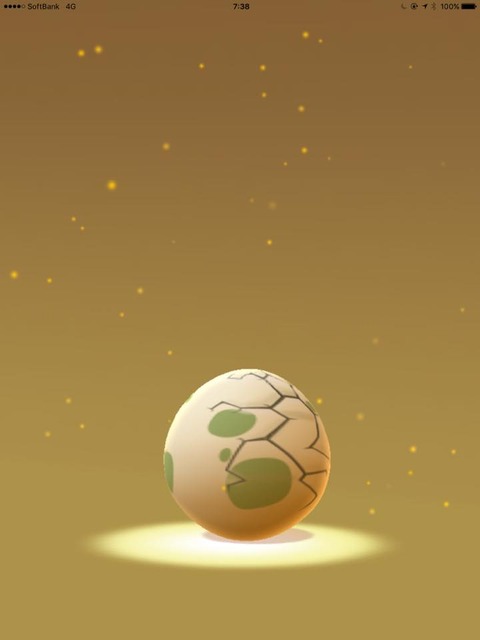 13716181_1036064429818603_4124654404381157668_n