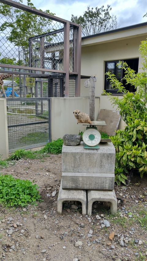 DSC_1152