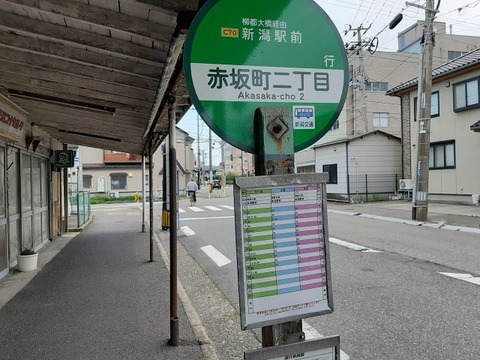 a-nii29