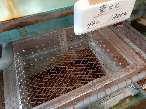 a-hirano95