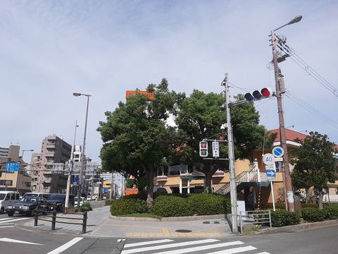 a-20240925_101059
