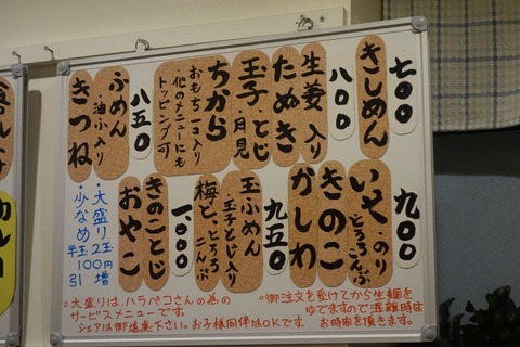 a-DSC01260
