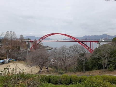 a-20230316_123004
