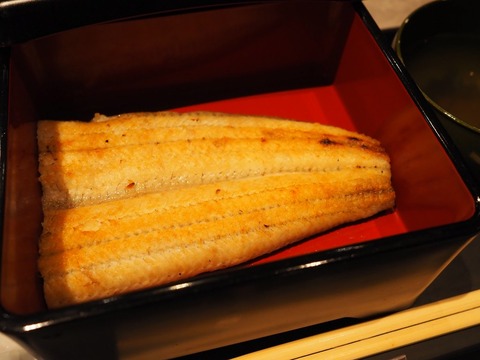 a-P6120044