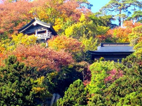 a-yamagata0013