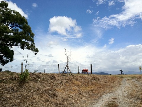 a-ehime0901