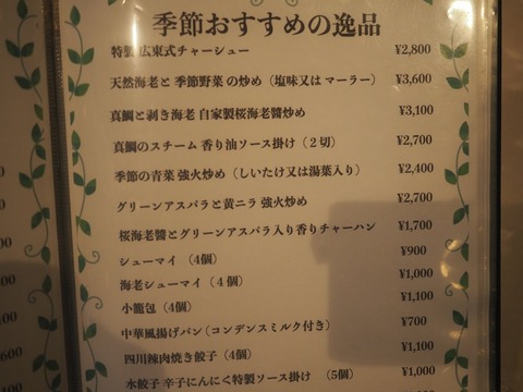 a-P3060039