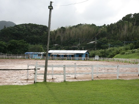 a-hirahan0407
