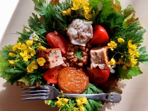 a-20240413_080041