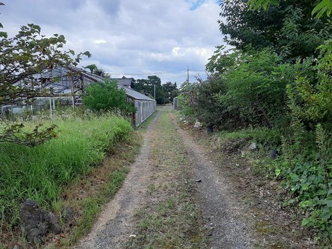 a-kyo12