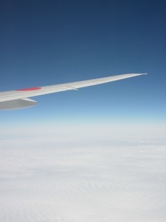 a-sha0311