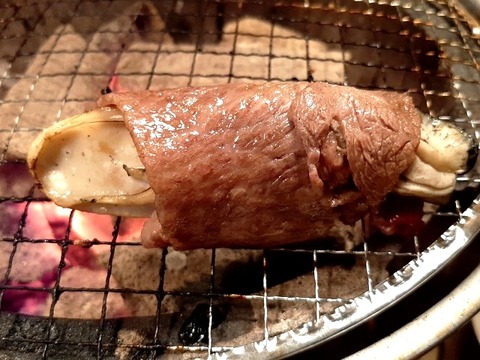 a-ushi28