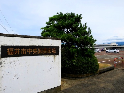 a-gunjo01