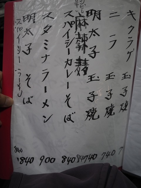 a-P4300008