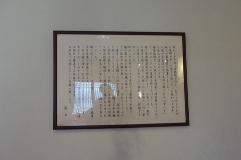 a-DSC05741