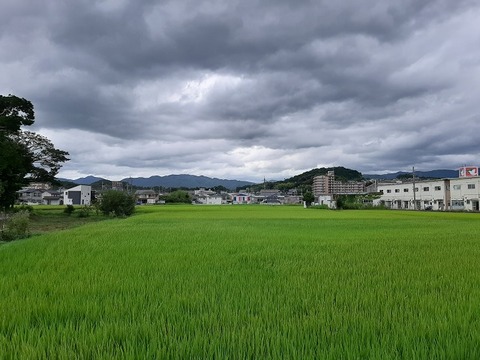 a-kyo19