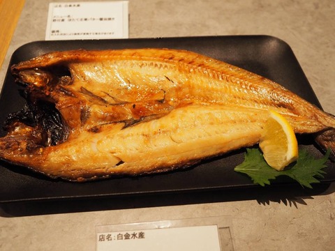 a-P6120049